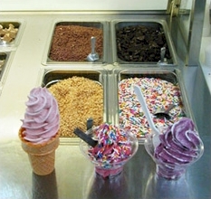 Frozen Yogurt Machine Toppings